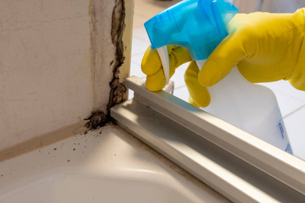 Best Post-Remediation Services in Blue Hills, CT